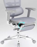 Ergohuman Luxury 2 SE Legrest